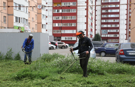 Зеленый вызов принят