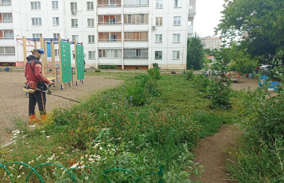 Зеленый порядок