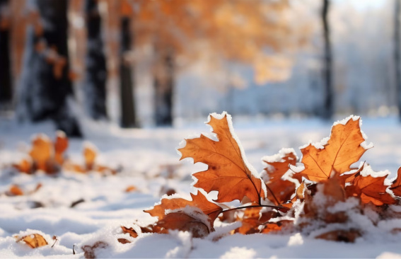 Афиша на ноябрь Афиша на ноябрь