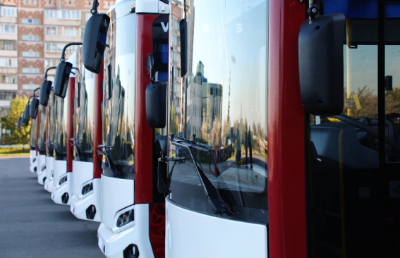 Садовые маршруты