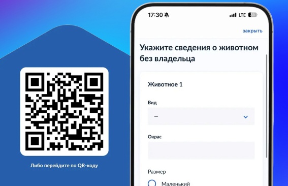 Новый сервис