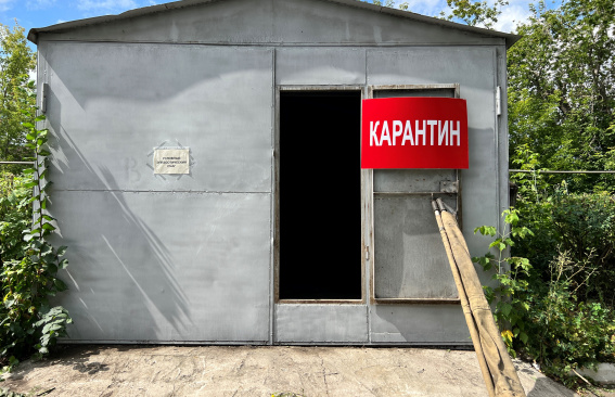 Внимание, карантин!