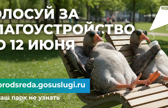 Сделай свой выбор