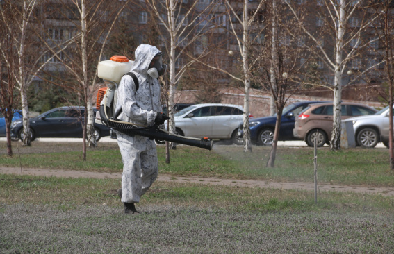 Внимание, акарицидная обработка