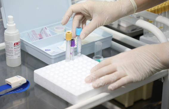 Залог здоровья