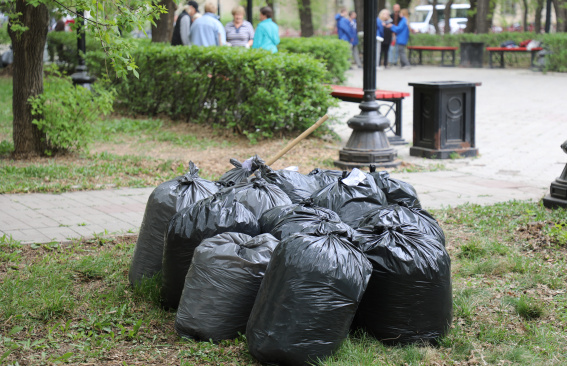 На субботник становись!