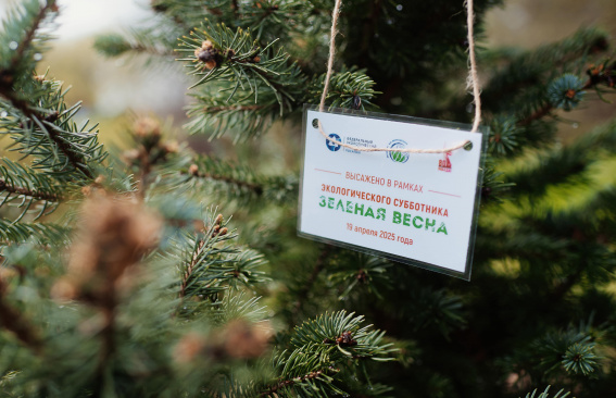 Новый сезон «Зеленой Весны»