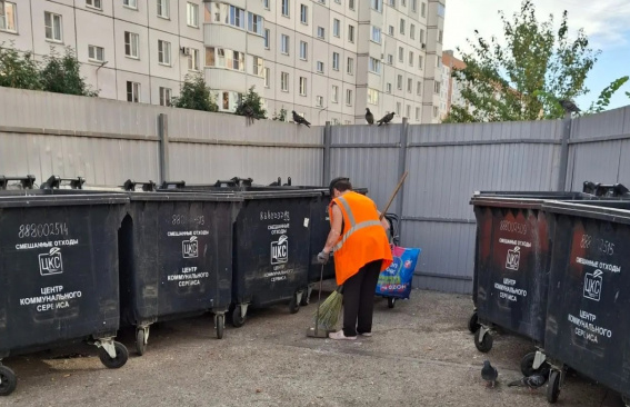 Результат ежедневной работы