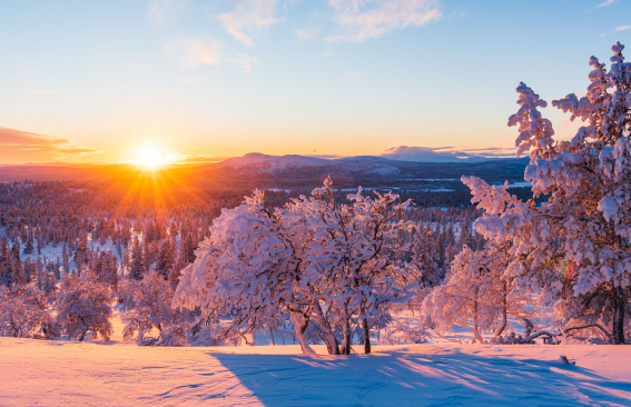 Афиша на январь