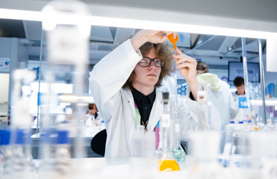 Высший элемент