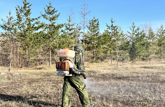 Обработка кладбищ от клещей