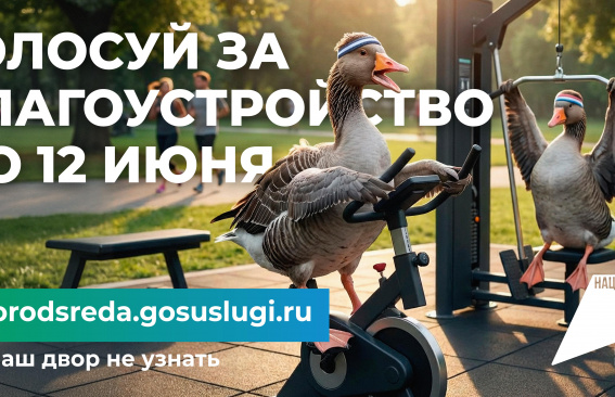 Народный выбор