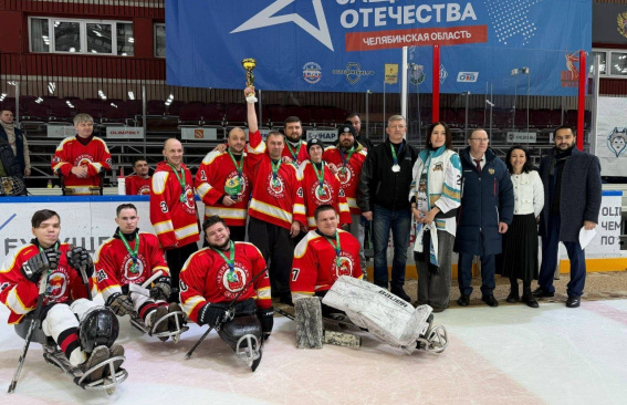 Система поддержки ветеранов СВО