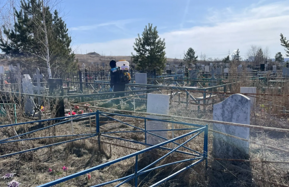 Обработка кладбищ от клещей