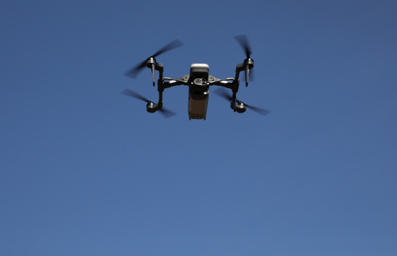 Между небом и листвой