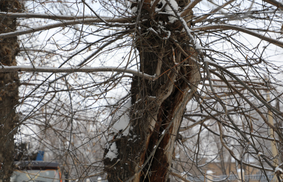 Нависшая угроза