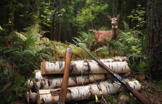 Берегите природу!