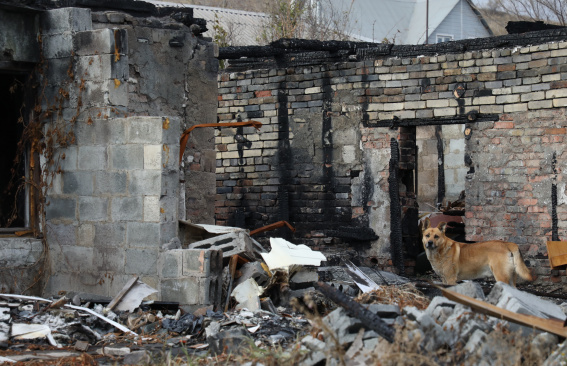 Печальная статистика