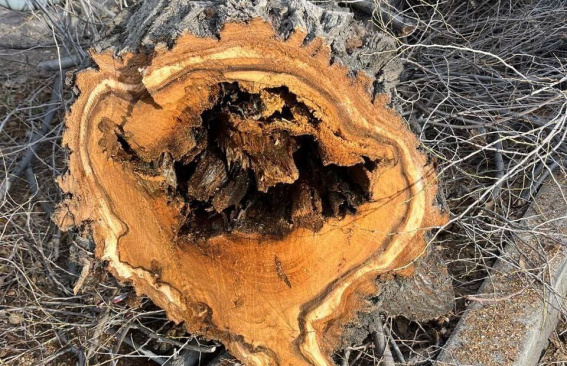 Вынужденное и единственно верное решение